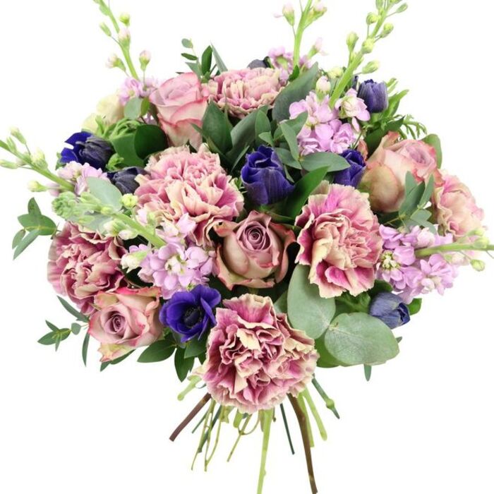 Photographed against a bright, uncluttered white background, this hand-tied bouquet looks as though it has just been turned out of a vase in a Clerkenwell loft, every stem thoughtfully arranged for balance and flow. The central focus is a cluster of garden roses in soft blush pink and antiqued dusty mauve, each bloom open enough to reveal a tight spiral of petals and a velvety, romantic texture. Woven closely among them are frilled carnations, their petals layered and rippled from creamy beige centres to blush and deeper rose at the tips, adding full-bodied volume and gentle movement. Punctuating this softness are rich indigo and royal blue accents: closed buds reminiscent of tulips and one open anemone with velvety blue petals and a dramatically dark centre, offering a modern, almost artistic contrast that suits the creative spirit of Clerkenwell's design studios. Lifting the eye upward, slim stems of lilac and pale lavender stock rise with dense clusters of tiny blossoms, adding a lighter, airy element and suggesting a delicate, sweet fragrance. The entire bouquet is framed by an abundance of fresh foliage: rounded, silvery-green eucalyptus leaves and darker, glossy greenery that curves naturally around the blooms, filling any gaps and enhancing the bouquet's lush, garden-like feel. At the base, the stems are clearly gathered and bound, emphasising the hand-crafted nature of the piece and its readiness for same-day delivery around Clerkenwell, Farringdon, and nearby streets. With its blend of romantic pinks, subtle purples, intense blues and refreshing greens, this bouquet radiates understated elegance, making it ideal for weddings, anniversaries, or any occasion that calls for a sophisticated yet heartfelt floral gesture.